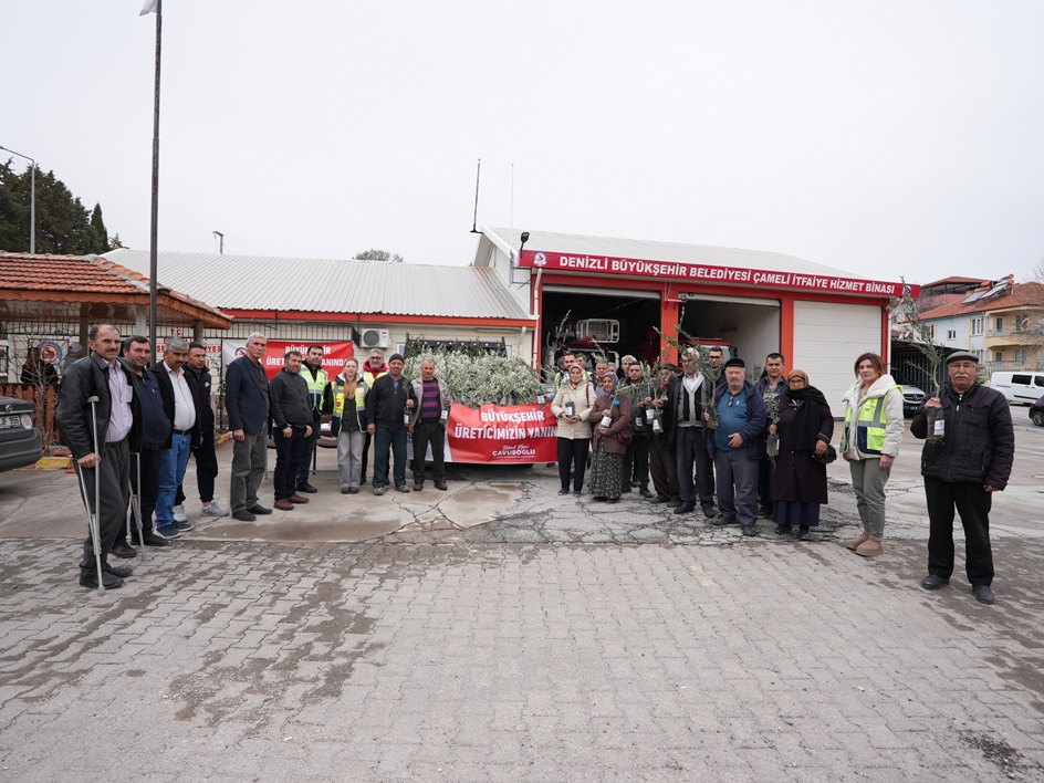 Denizli Büyükşehir’den Üreticiye Zeytin Fidanı Desteği (6)