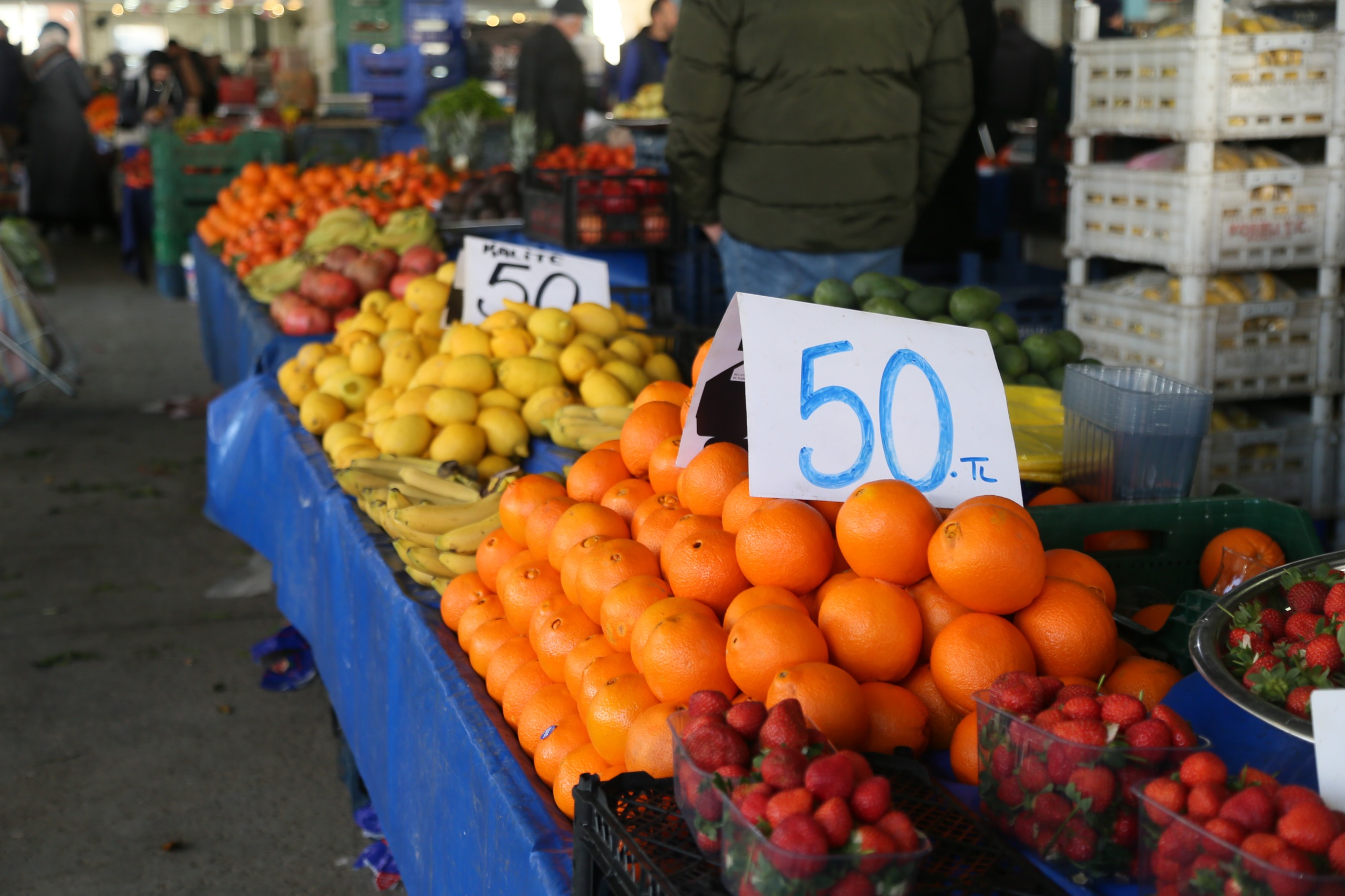 I M G 20260204 W A0020