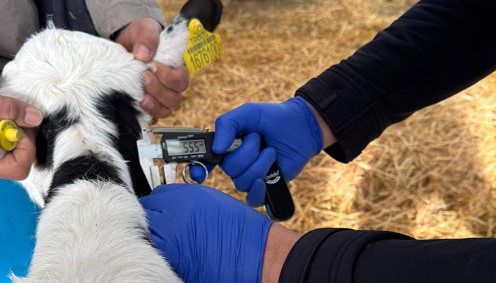 Whatsapp Image 2026 02 06 At 10.49.24 (2)