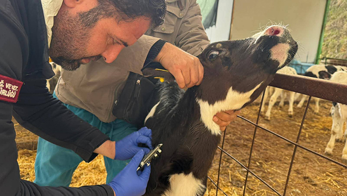 Whatsapp Image 2026 02 06 At 10.49.24 (3)