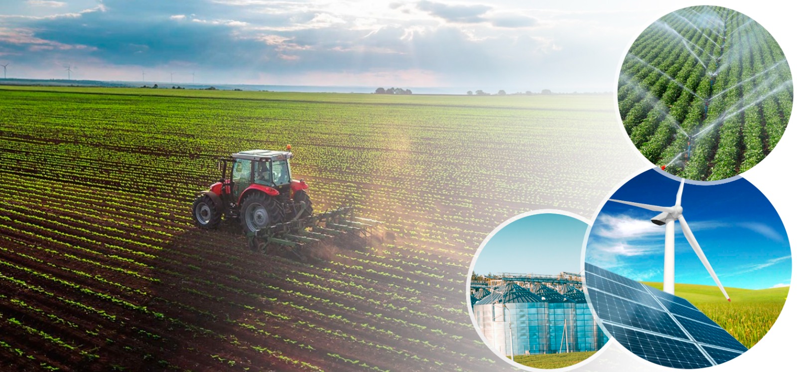 Whatsapp Image 2026 02 17 At 13.34.52 (2)