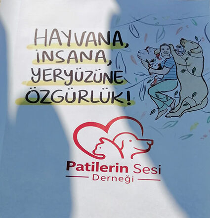 Whatsapp Image 2026 03 01 At 16.10.49 (2)