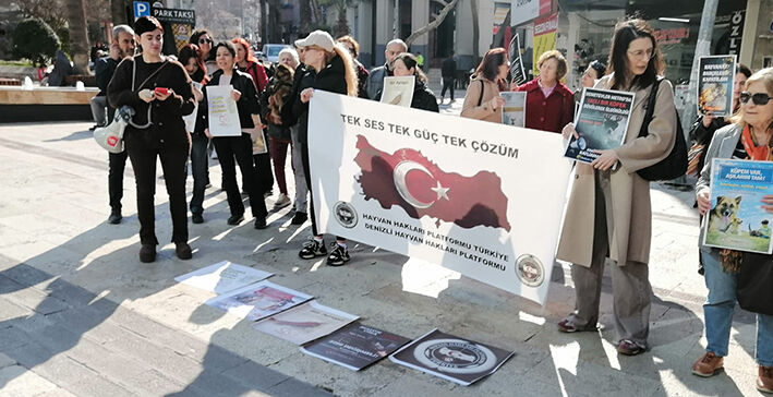 Whatsapp Image 2026 03 01 At 16.10.49 (3)