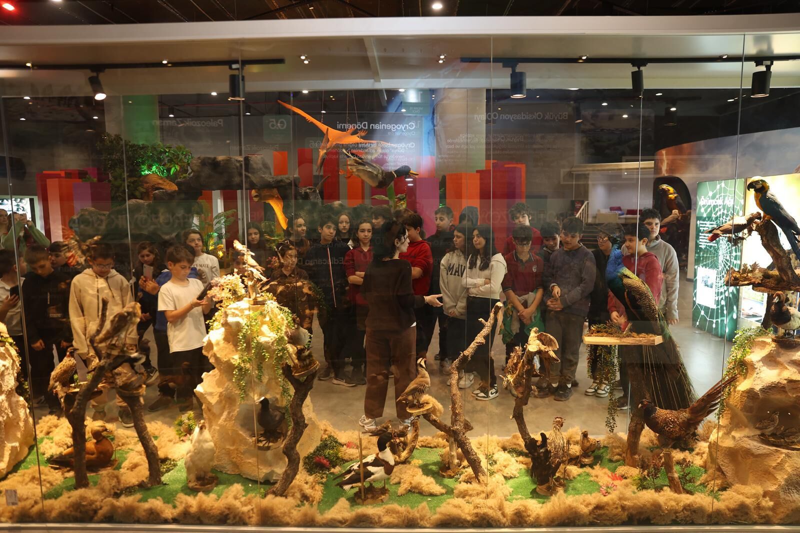 Whatsapp Image 2026 03 05 At 16.37.34 (8)