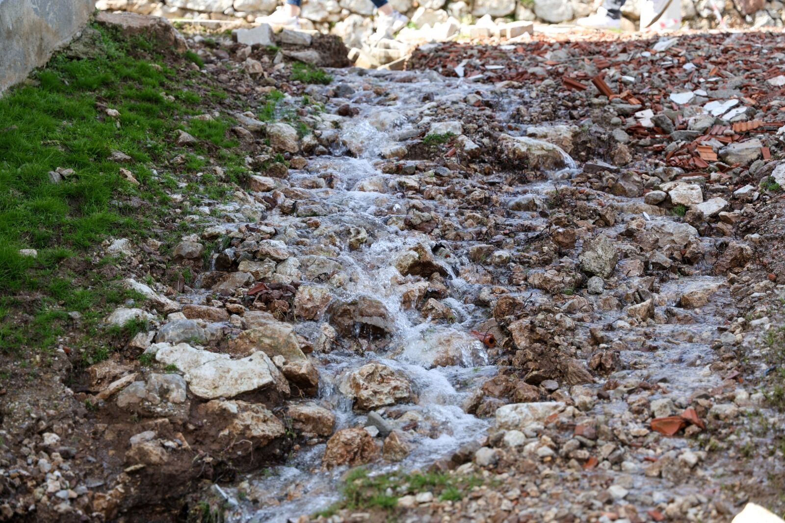 Whatsapp Image 2026 03 05 At 17.48.22 (1)