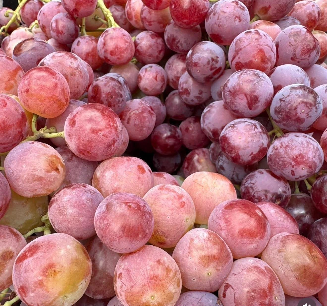 Whatsapp Image 2026 04 18 At 13.32.13