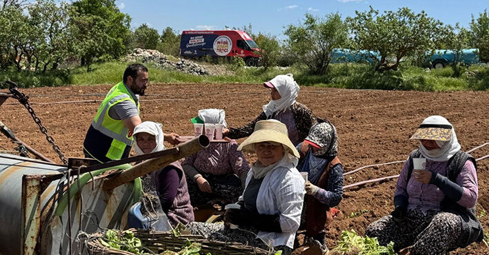Büyükşehir Mobil Ikram Filosu Rotasını Tarlalara Çevirdi (1)