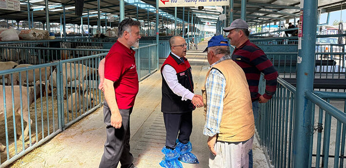 Kurbanlık 04