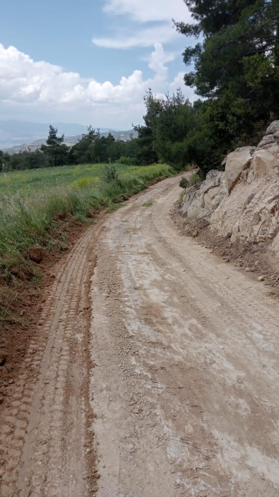 Arazi Yolları (5)