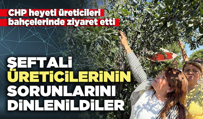 Şeftali üreticilerinin sorunlarını dinlenildiler