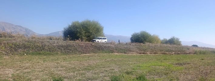 A W815591 05